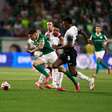 Palmeiras providência voo fretado e fisioterapeutas para convocados