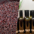 Achávamos que era desperdício, mas acabamos de descobrir que o resíduo da fermentação do arroz é um "superalimento"