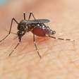Viamão decreta emergência em saúde pública devido a epidemia de dengue