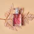 5 dicas para escolher o perfume ideal para o outono