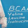 BCAA para ganhar massa muscular: estudo analisa efeito anabólico