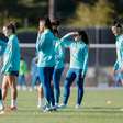 Brasil e Estados Unidos se enfrentam em dois amistosos pela Data Fifa