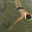 Ataques de peixes interditam famoso balneário de Bonito; banhista perdeu parte do dedo