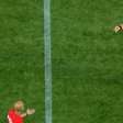 Cabeças de galinhas são jogadas no gramado em clássico entre Palmeiras e Corinthians
