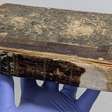Livro feito com pele de assassino famoso do século XIX é encontrado em museu e exposto para visitantes
