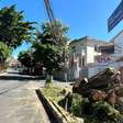 Salvador é a 2ª capital menos arborizada do Brasil, mostra Censo 2022