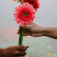 Descubra seus bloqueios no amor com ajuda da Numerologia