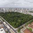 Sede da COP30, Belém é a 6ª capital menos arborizada do Brasil, revela Censo do IBGE