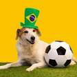 12 nomes de jogadores de futebol para cachorro