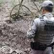 Brigada Militar descobre matadouro clandestino com 12 cavalos em sofrimento no RS
