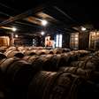 Se a questão é qual será o futuro do vinho, cada vez mais vinícolas de Bordeaux têm essa clareza: vinho sem álcool