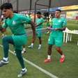 Gómez comenta ascensão do Palmeiras no início do Brasileiro: 'Não tem segredo'