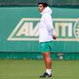 Comentarista volta a colocar Abel Ferreira na seleção e vai além: "Foi justamente"