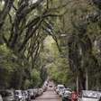 "A rua mais bonita do mundo" fica no RS e é um "Túnel Verde" em Porto Alegre