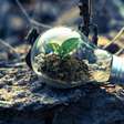 Dia da Terra: reflexões e ações para um Mundo mais sustentável