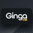 GingaBet 2025: análise completa com dicas e promoções