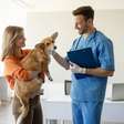 10 perguntas para fazer ao veterinário na primeira consulta