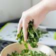 5 motivos para incluir a ora-pro-nóbis na alimentação