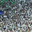 Palmeiras vai chegar a 8 milhões de torcedores no Allianz em jogo contra o Bahia, no Brasileirão