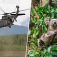 Austrália executou 750 coalas com franco-atiradores em helicópteros "pelo bem dos animais"