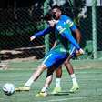 Goiás x Avaí: onde assistir, escalações e arbitragem