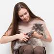 8 cuidados importantes com as unhas dos gatos