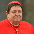 Quem é o brasileiro que pode ser a 'zebra' do conclave e escolhido como novo papa