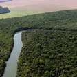 Alta de 55% do desmatamento da Amazônia em abril liga o alerta no governo Lula