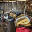 Idoso é resgatado de trabalho análogo à escravidão em Eldorado do Sul