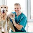 6 motivos para manter o check-up dos animais em dia