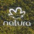 Natura (NTCO3) melhora margem na América Latina, mas sofre com impacto da Avon