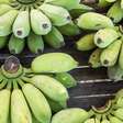 6 frutas que prendem o intestino