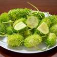 5 benefícios do maxixe para a saúde e como incluí-lo na dieta