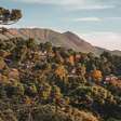 Monte Verde (MG) tem recorde de temperatura mínima, nesta 5ª (15/5)