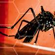 Se pode ser dengue, pode ser grave: conheça as estratégias de enfrentamento do Ministério da Saúde