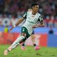 Palpite Palmeiras x Bolívar - Copa Libertadores - 15/05/2025