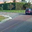 'Eu parei na placa': motorista causa capotamento no Jardim das Américas e câmera revela o que realmente aconteceu