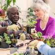 Como cuidar de plantas ajuda a viver mais e melhor