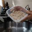 "Esqueci de colocar o feijão de molho": 3 truques para evitar gases e má digestão, segundo nutricionistas