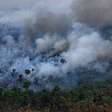 Destruição de florestas tropicais bate recorde com aumento de incêndios