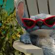 Lilo &amp; Stitch: Tudo que você precisa saber antes de assistir ao live-action