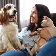 12 dicas para o seu animal ter uma vida saudável e feliz