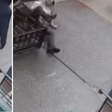 Influencer denuncia ter levado soco de homem desconhecido na rua: 'Aterrorizante'