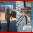 Vídeo mostra momento da invasão de pitbull em escola do Rio de Janeiro