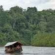 Indígenas da Amazônia processam New York Times por insinuar vício da aldeia em pornografia
