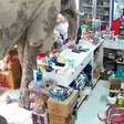 Elefante invade loja de conveniência na Tailândia, come doces e surpreende comerciantes