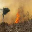 Por que Conferência do Clima na Alemanha é tão importante para a COP em Belém