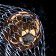 Artilheiro do Mundial de Clubes: veja como e onde apostar neste mercado