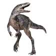 A nova espécie de dinossauro que 'reescreve' história da evolução do Tiranossauro Rex