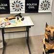 Operação "Parque dos Ratos": Polícia Civil cumpre 18 mandados e prende nove suspeitos de tráfico no RS